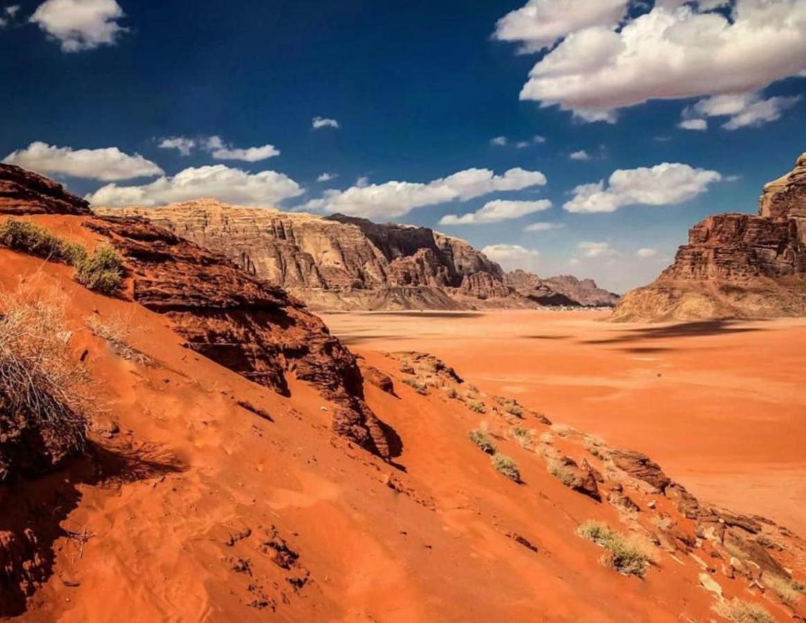 Bedouin Host Camp& With Tour Hotel Wadi Rum Eksteriør billede